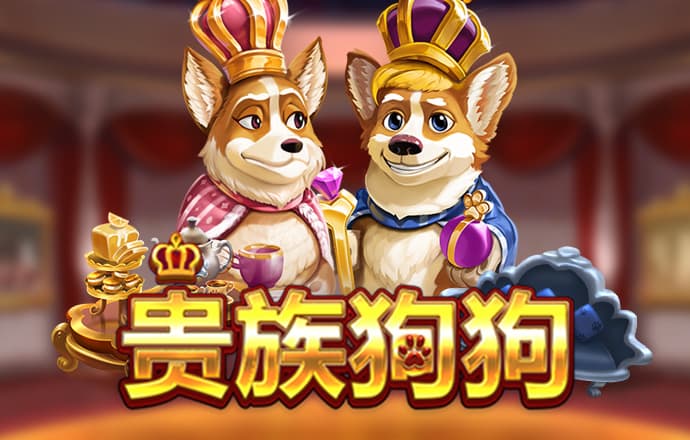 K8体育官网